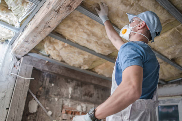 Best Types of Insulation in Edmonds, WA